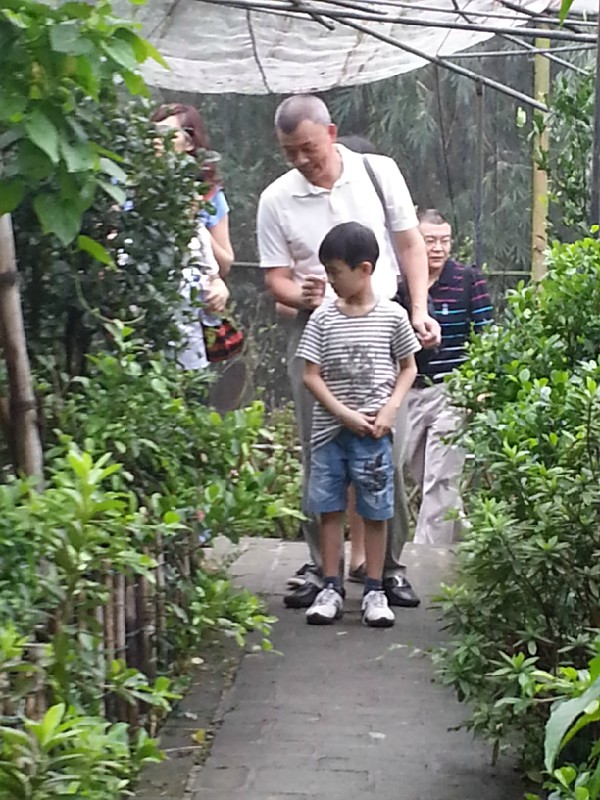 2025澳门2025免费原料