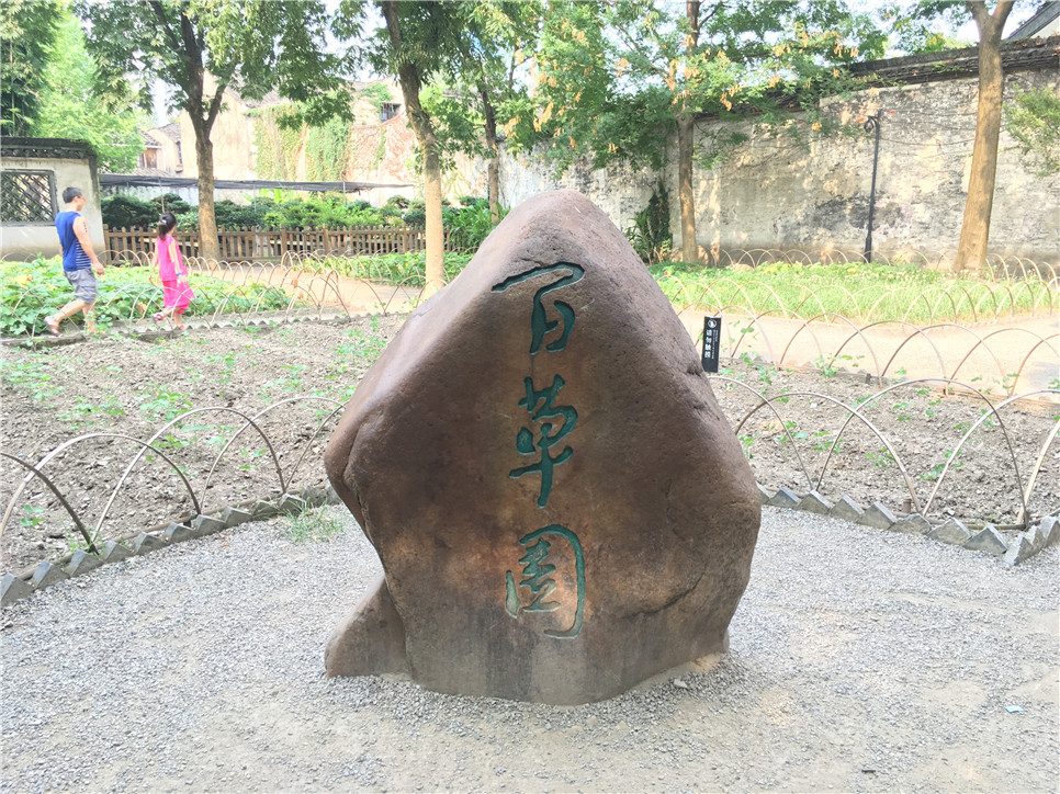 2025澳门2025免费原料