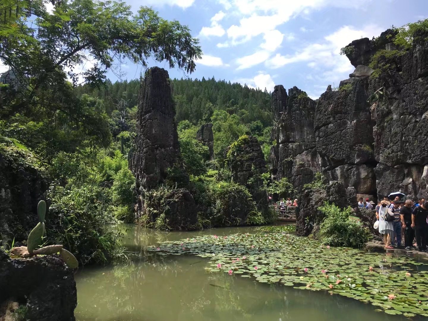 2025澳门2025免费原料