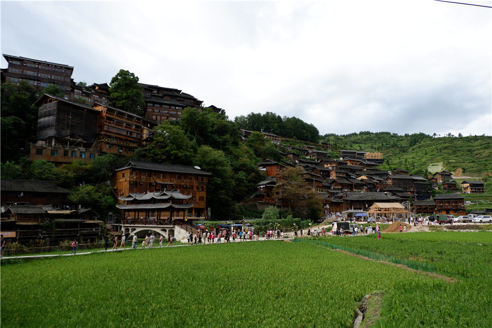 2025澳门2025免费原料