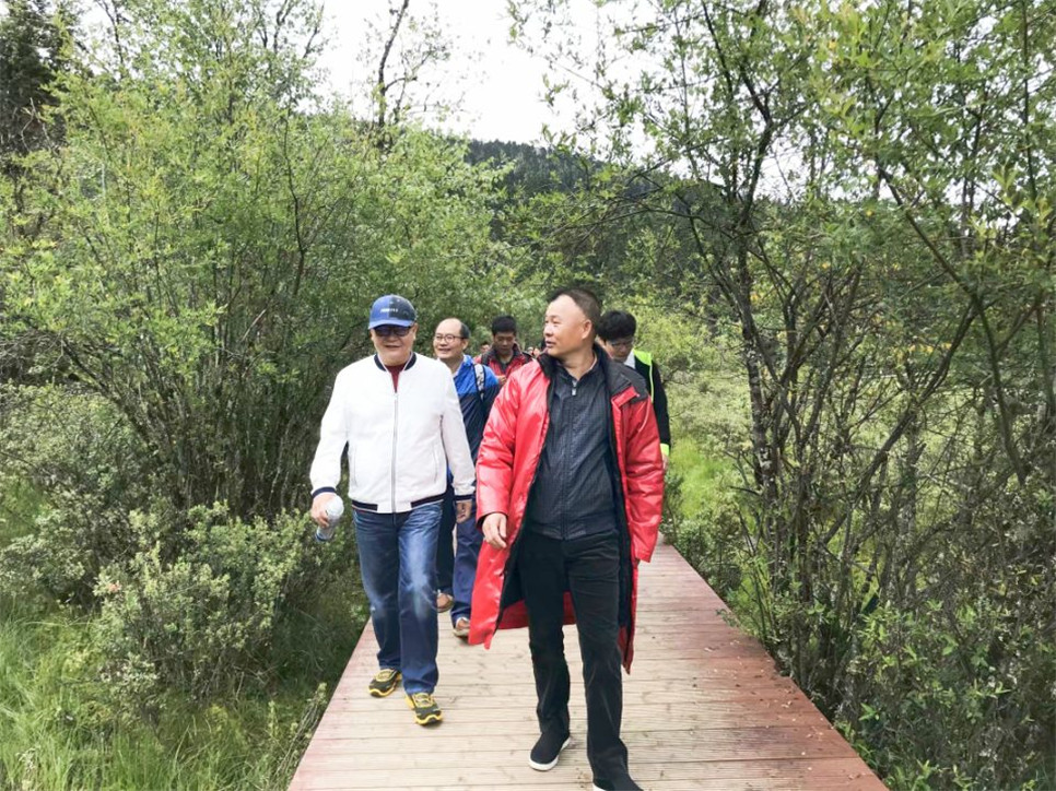 2025澳门2025免费原料