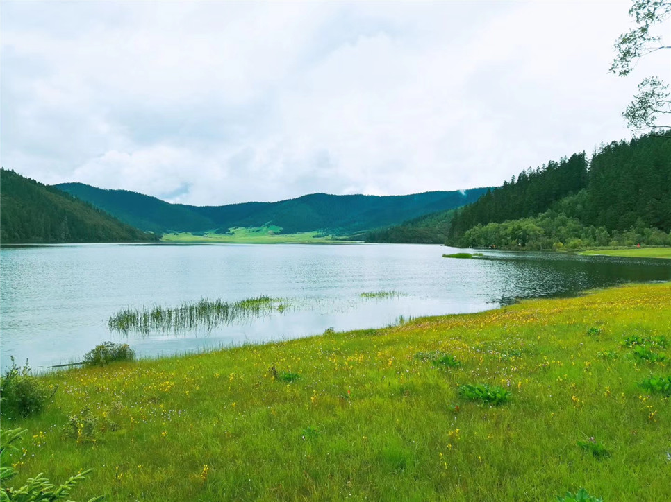 2025澳门2025免费原料