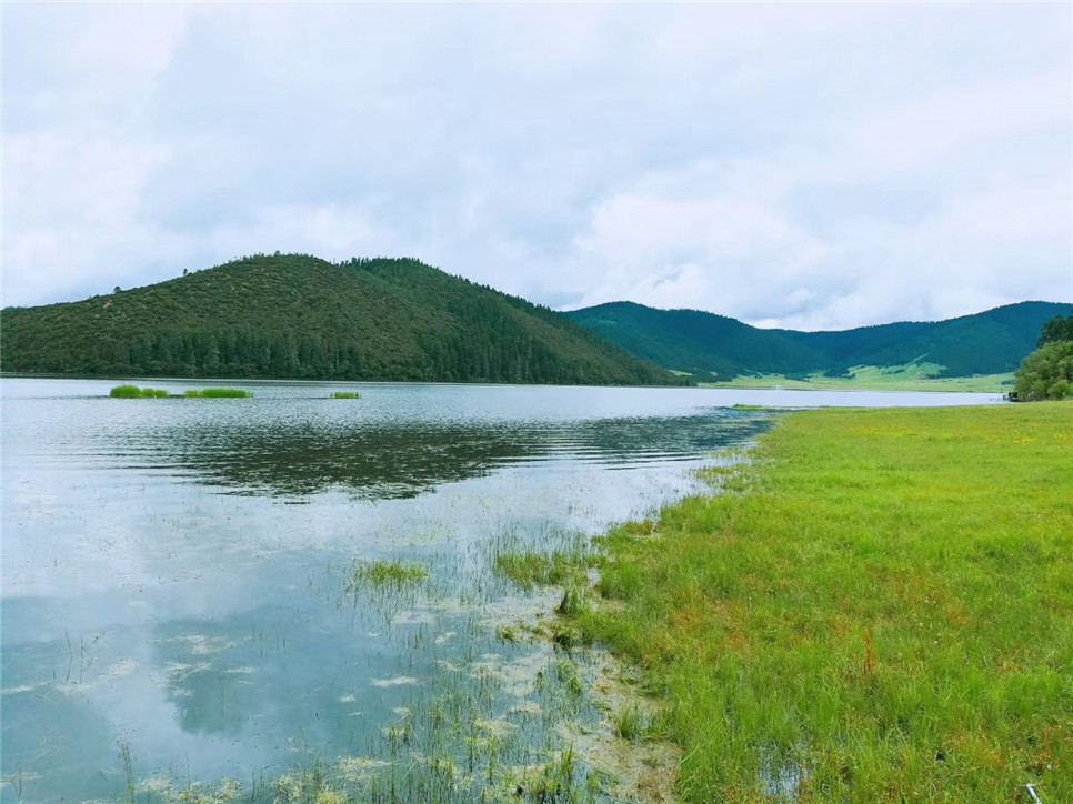 2025澳门2025免费原料