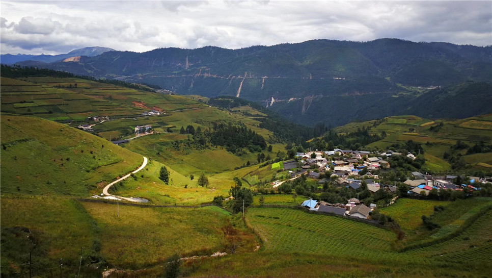 2025澳门2025免费原料