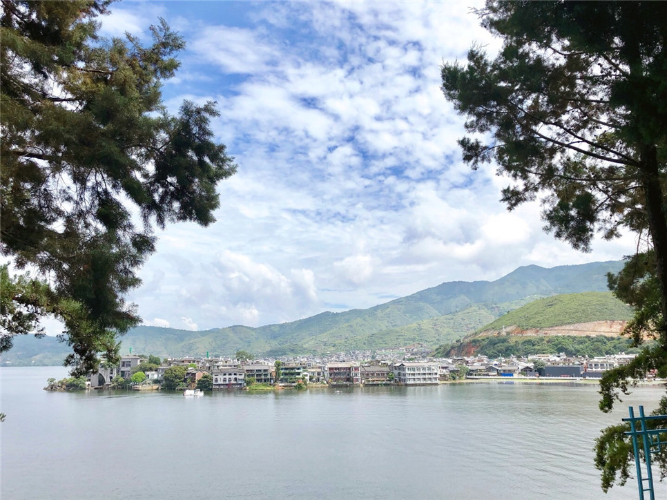 2025澳门2025免费原料