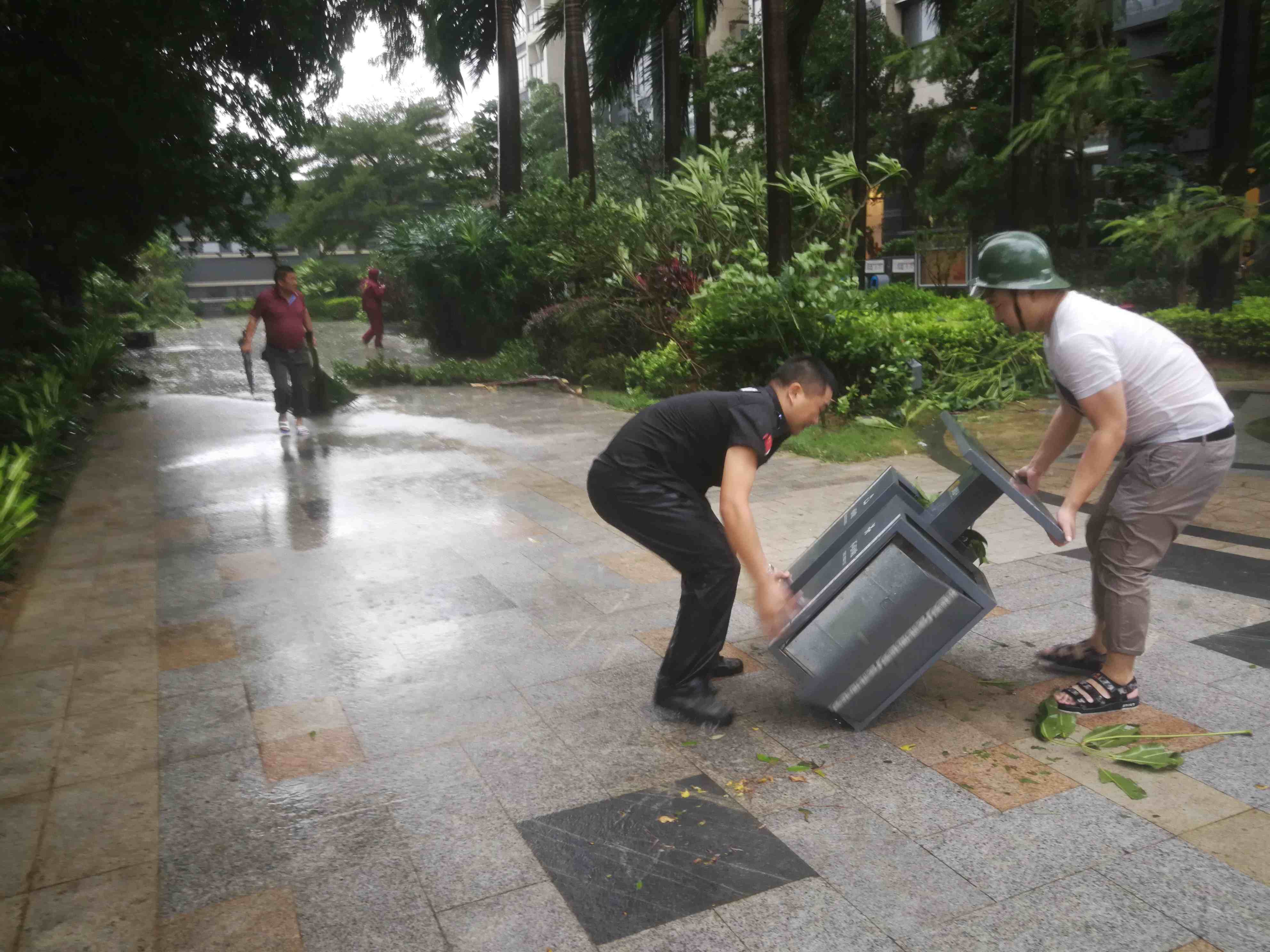 2025澳门2025免费原料