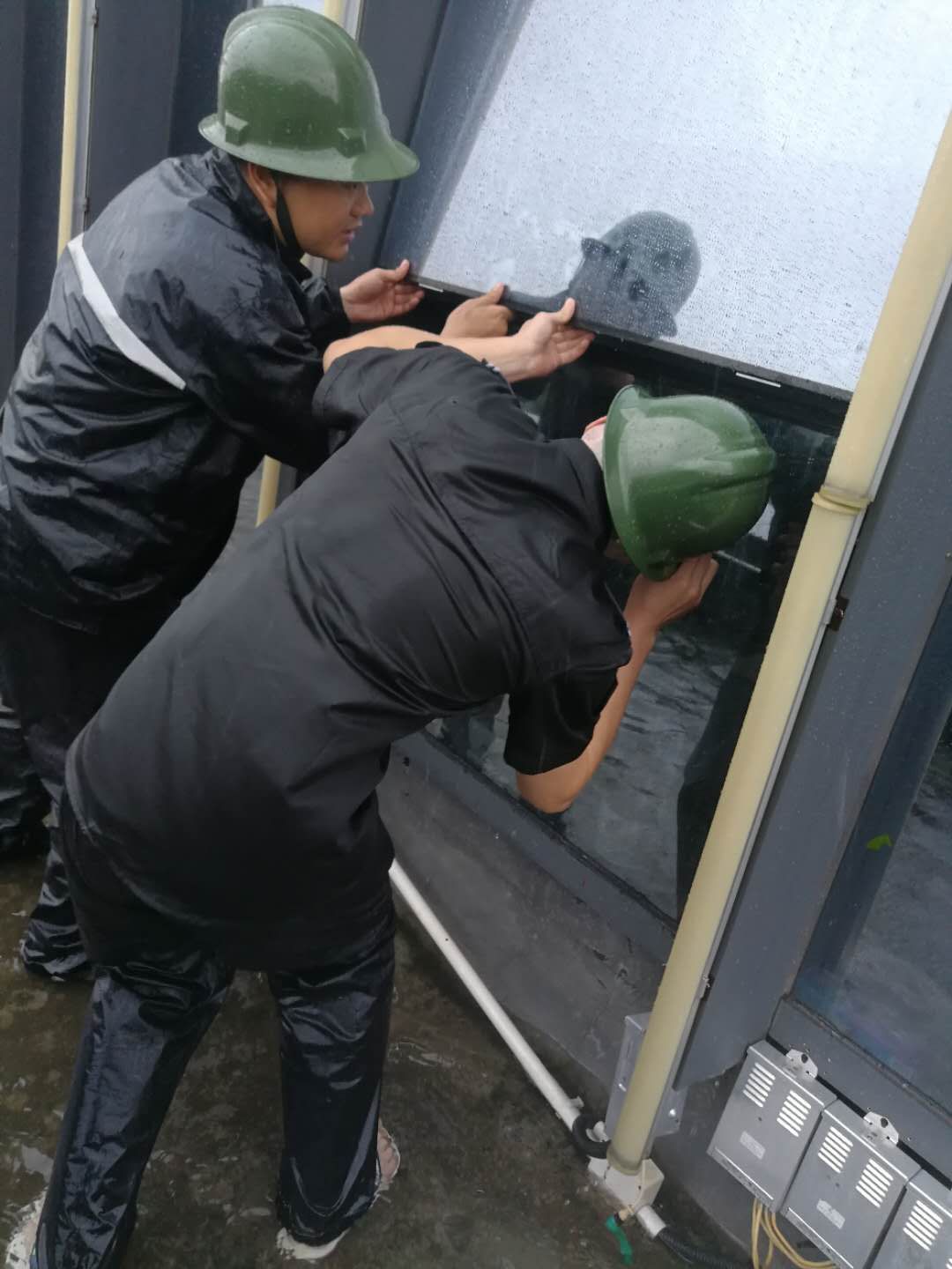 2025澳门2025免费原料