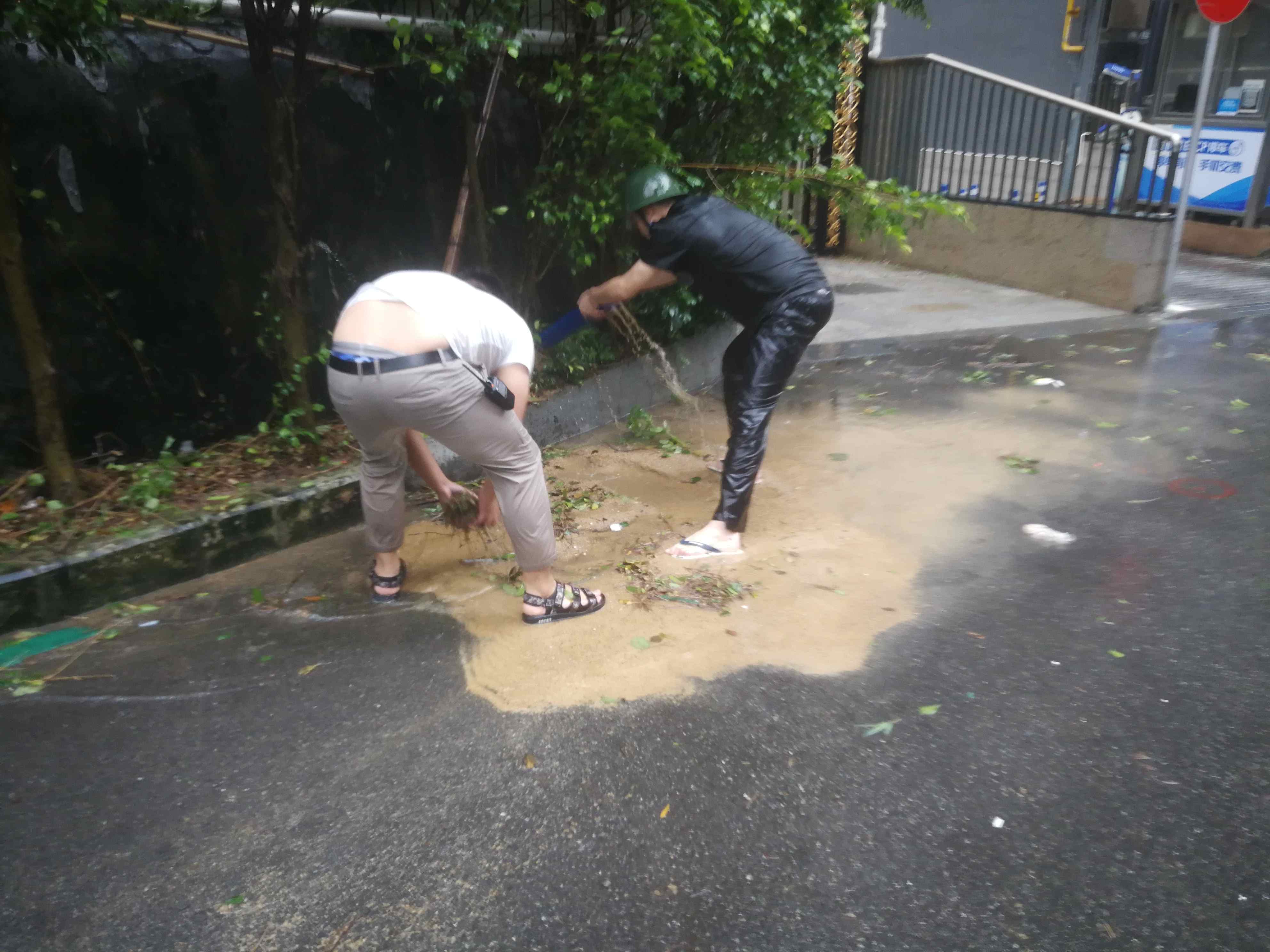 2025澳门2025免费原料