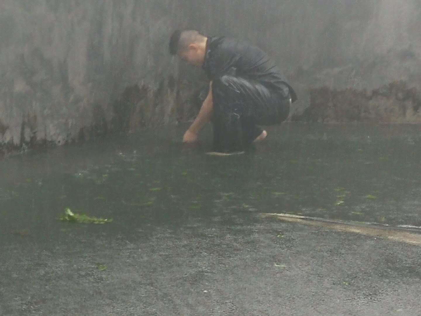 2025澳门2025免费原料