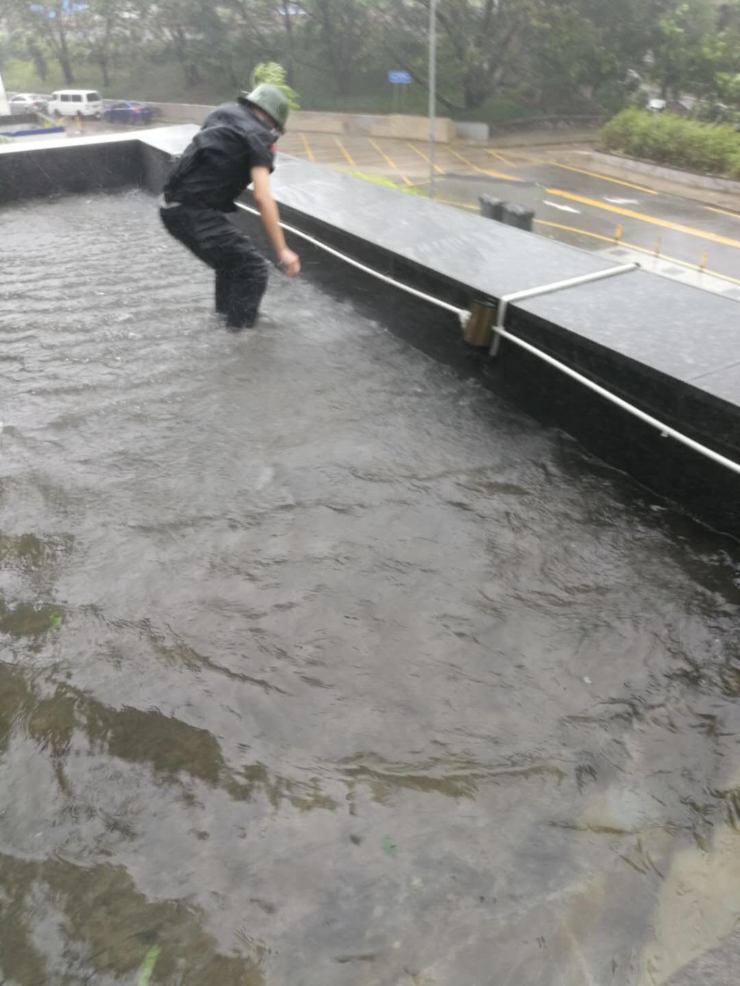 2025澳门2025免费原料