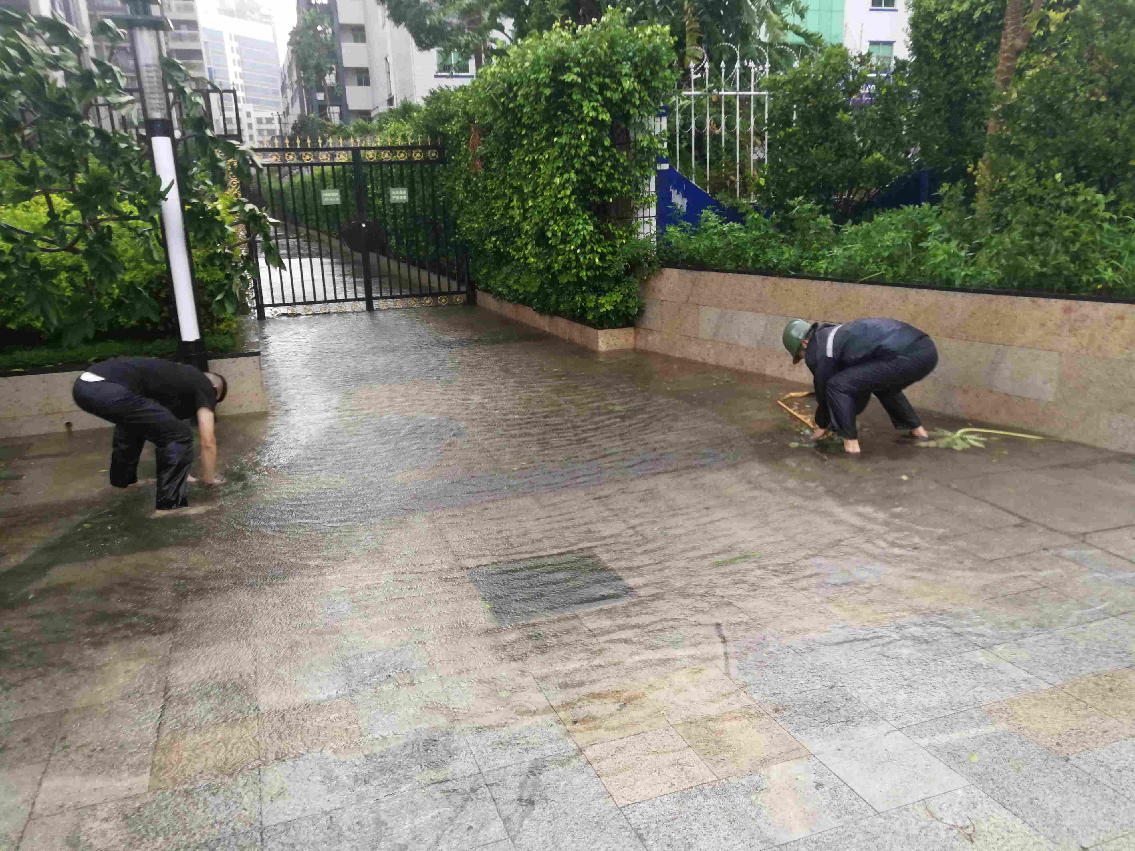 2025澳门2025免费原料