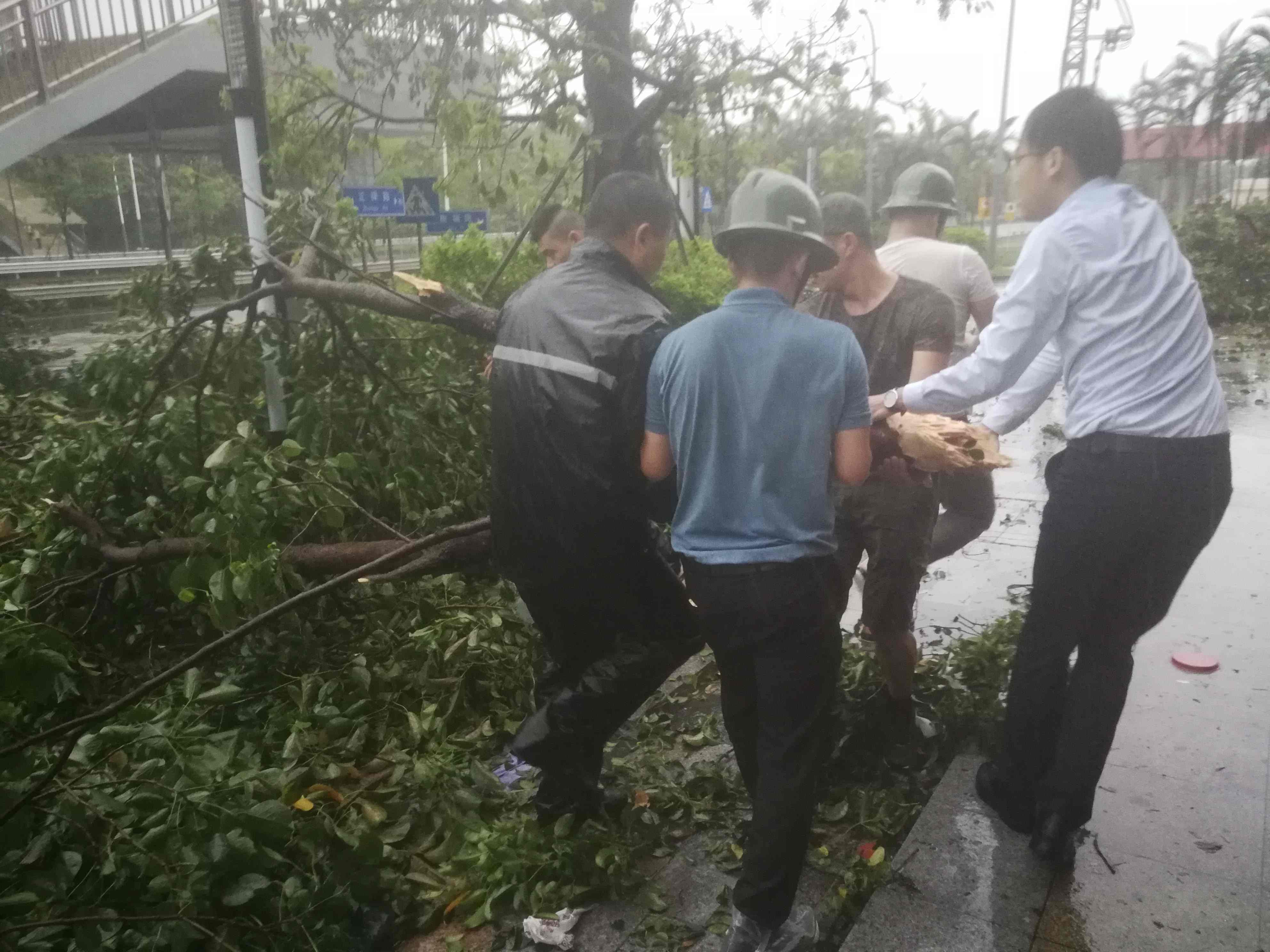 2025澳门2025免费原料