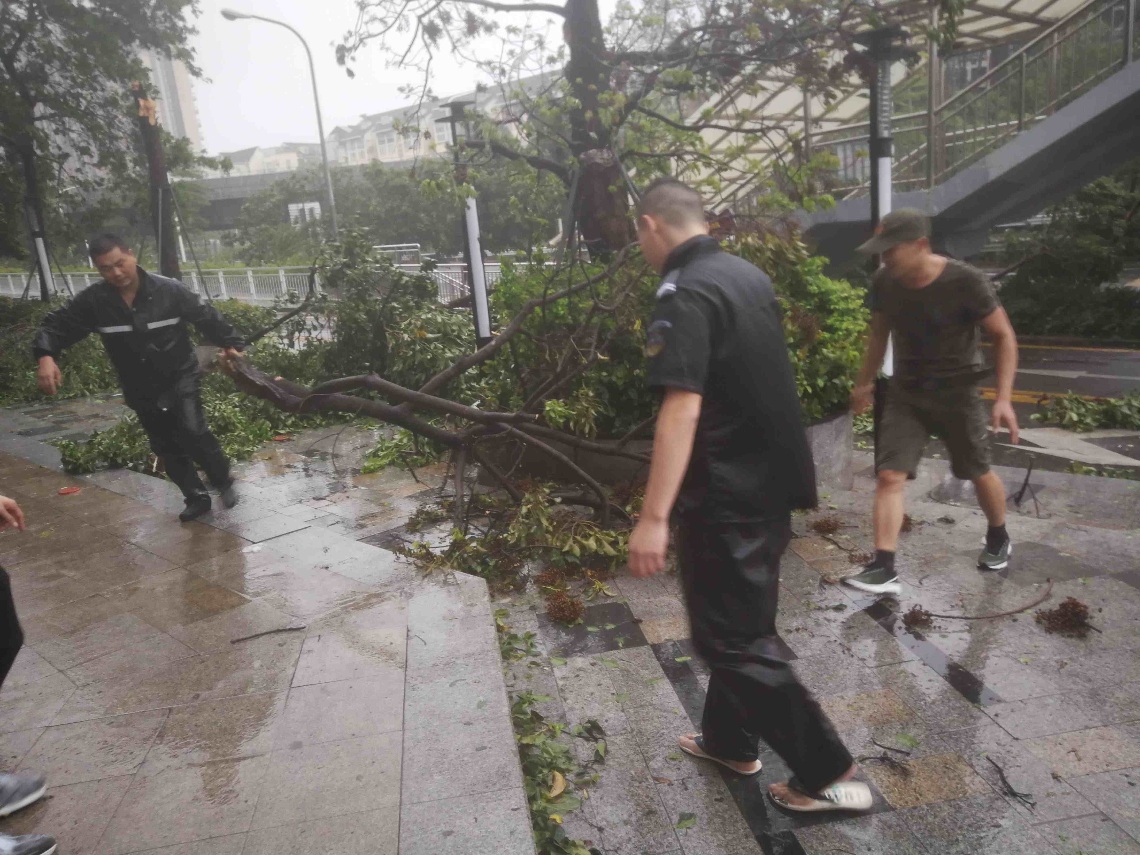 2025澳门2025免费原料