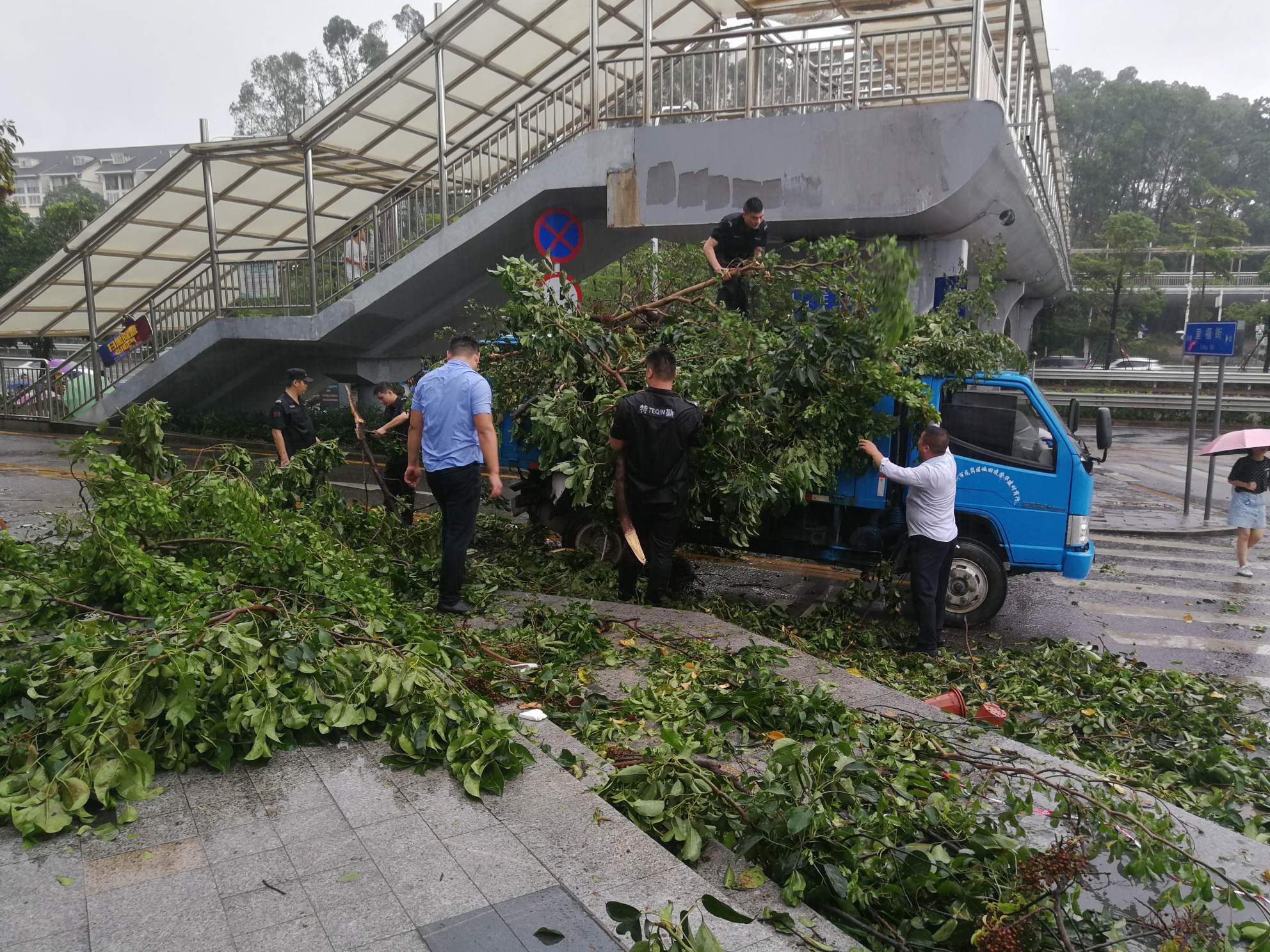 2025澳门2025免费原料