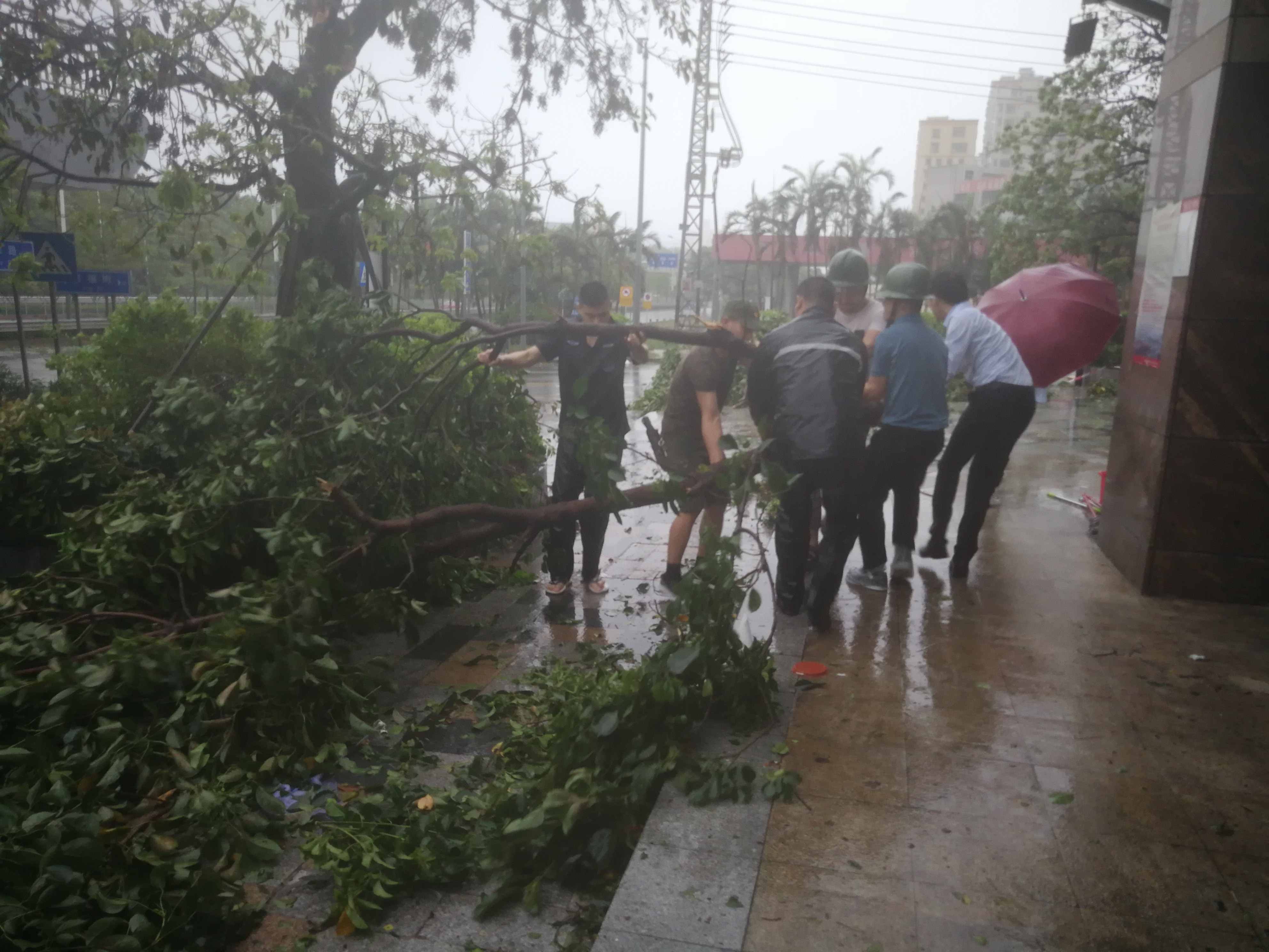 2025澳门2025免费原料