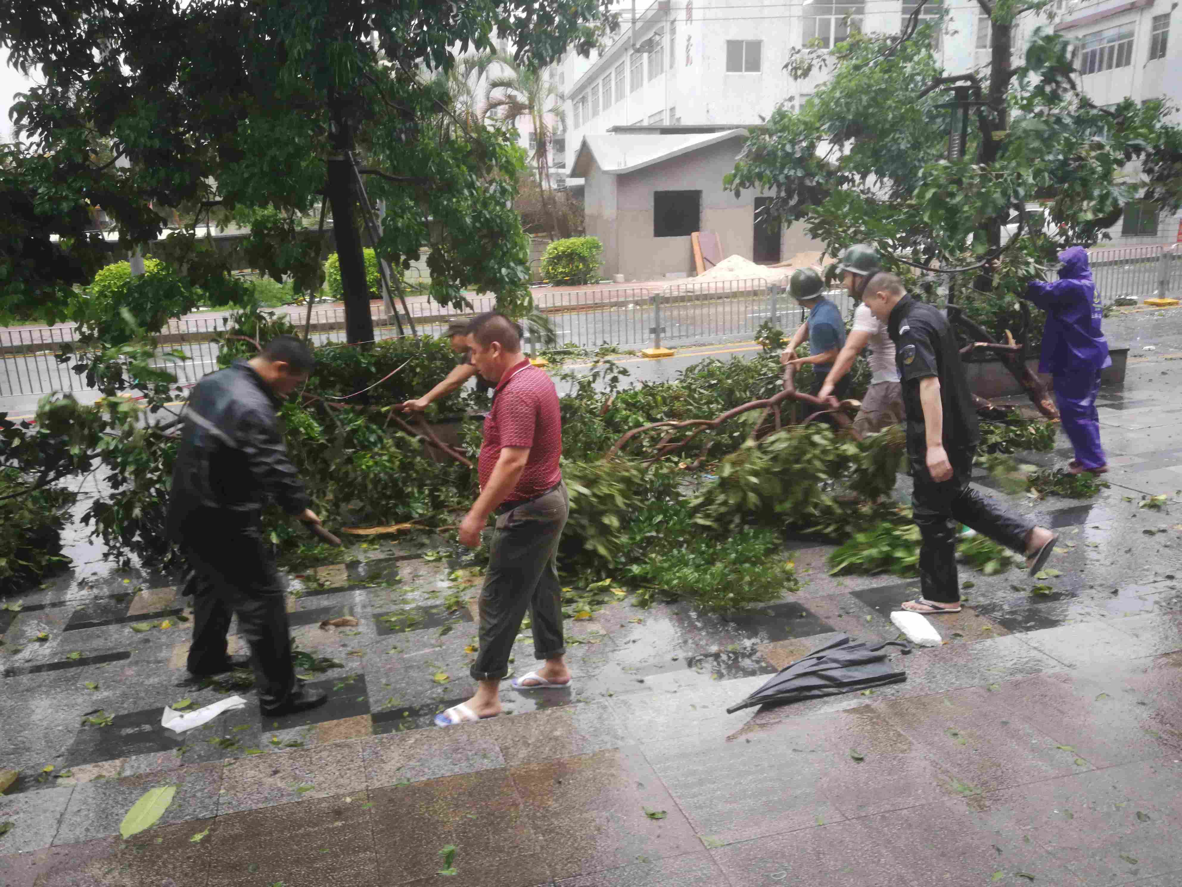 2025澳门2025免费原料