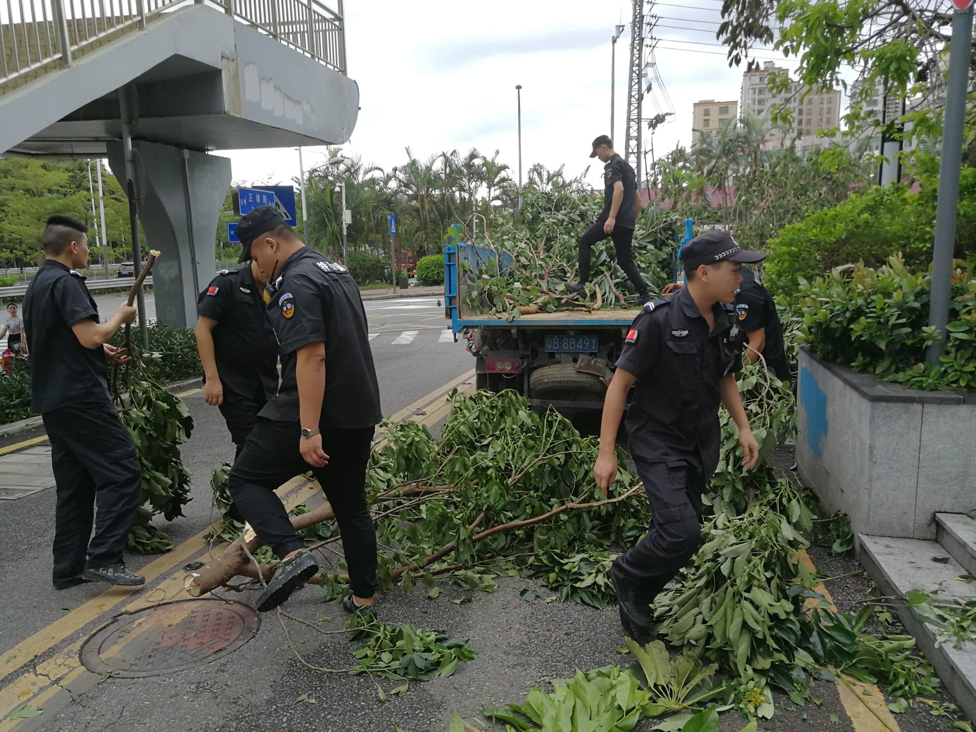 2025澳门2025免费原料