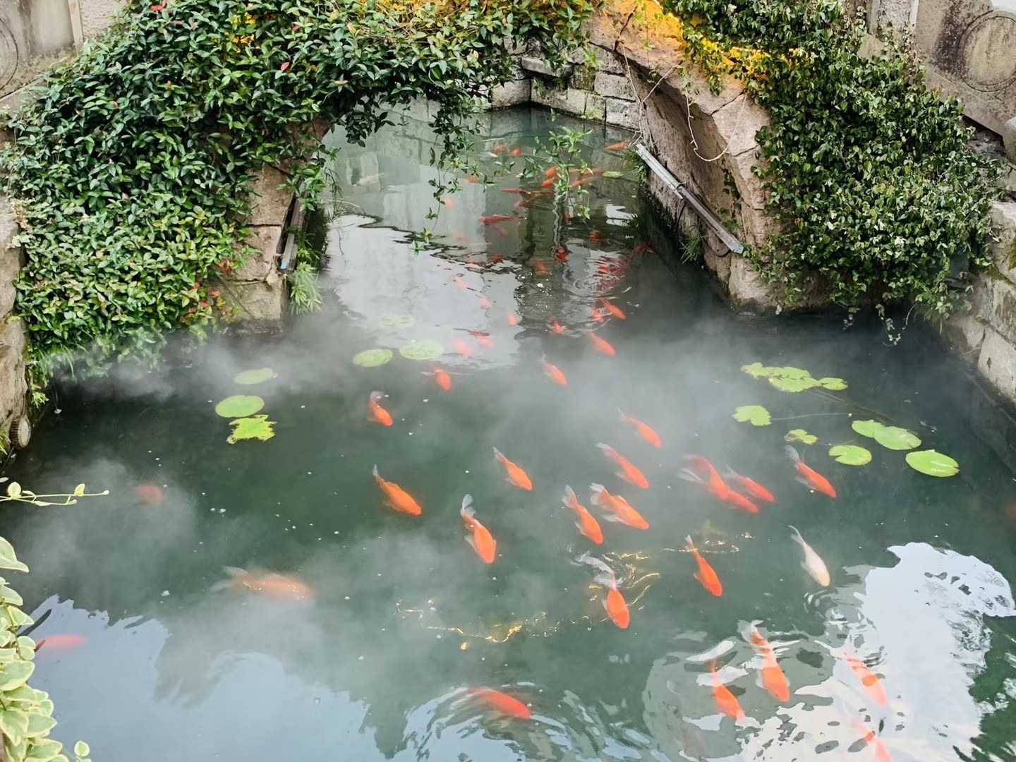 2025澳门2025免费原料