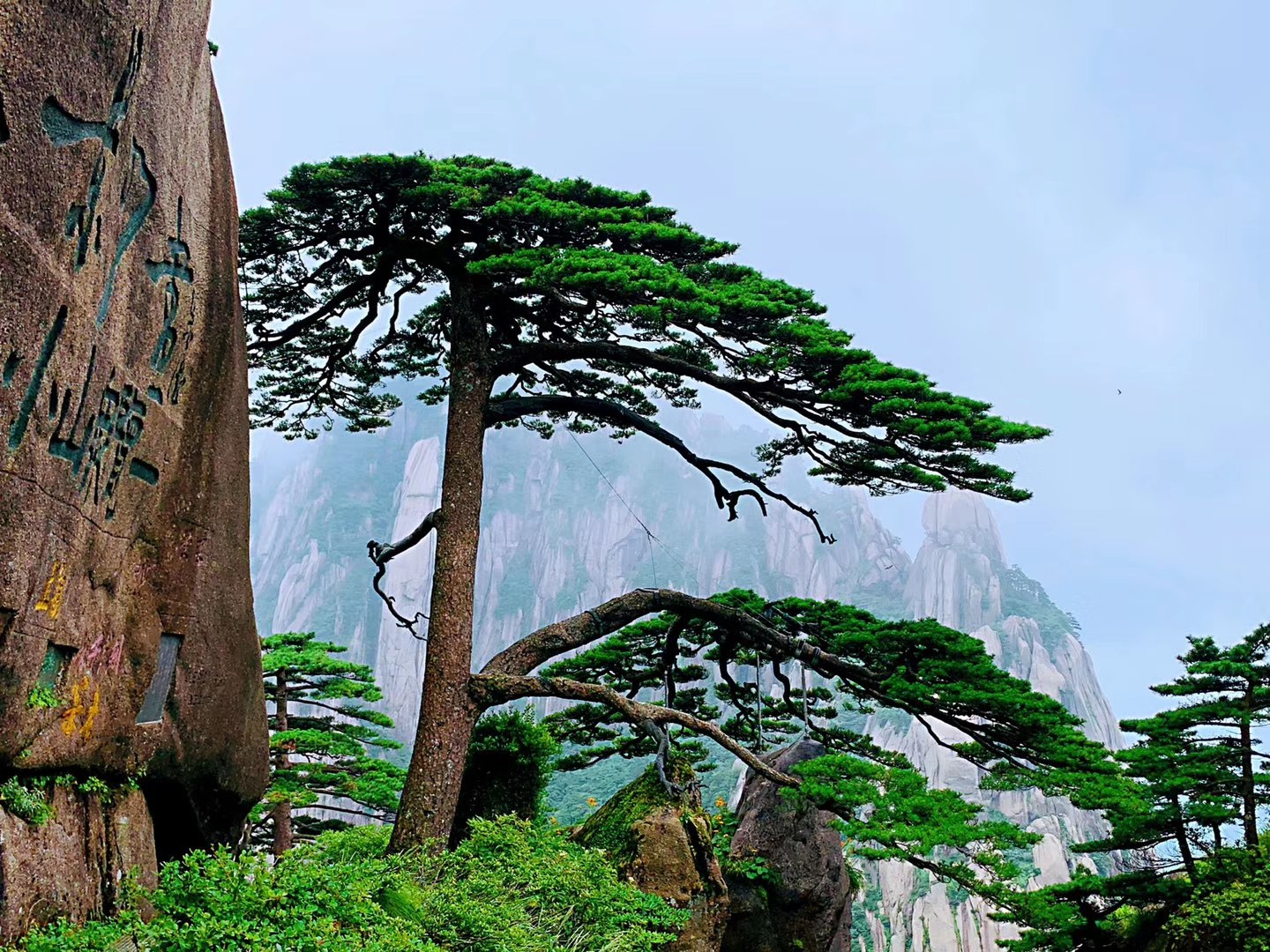 2025澳门2025免费原料