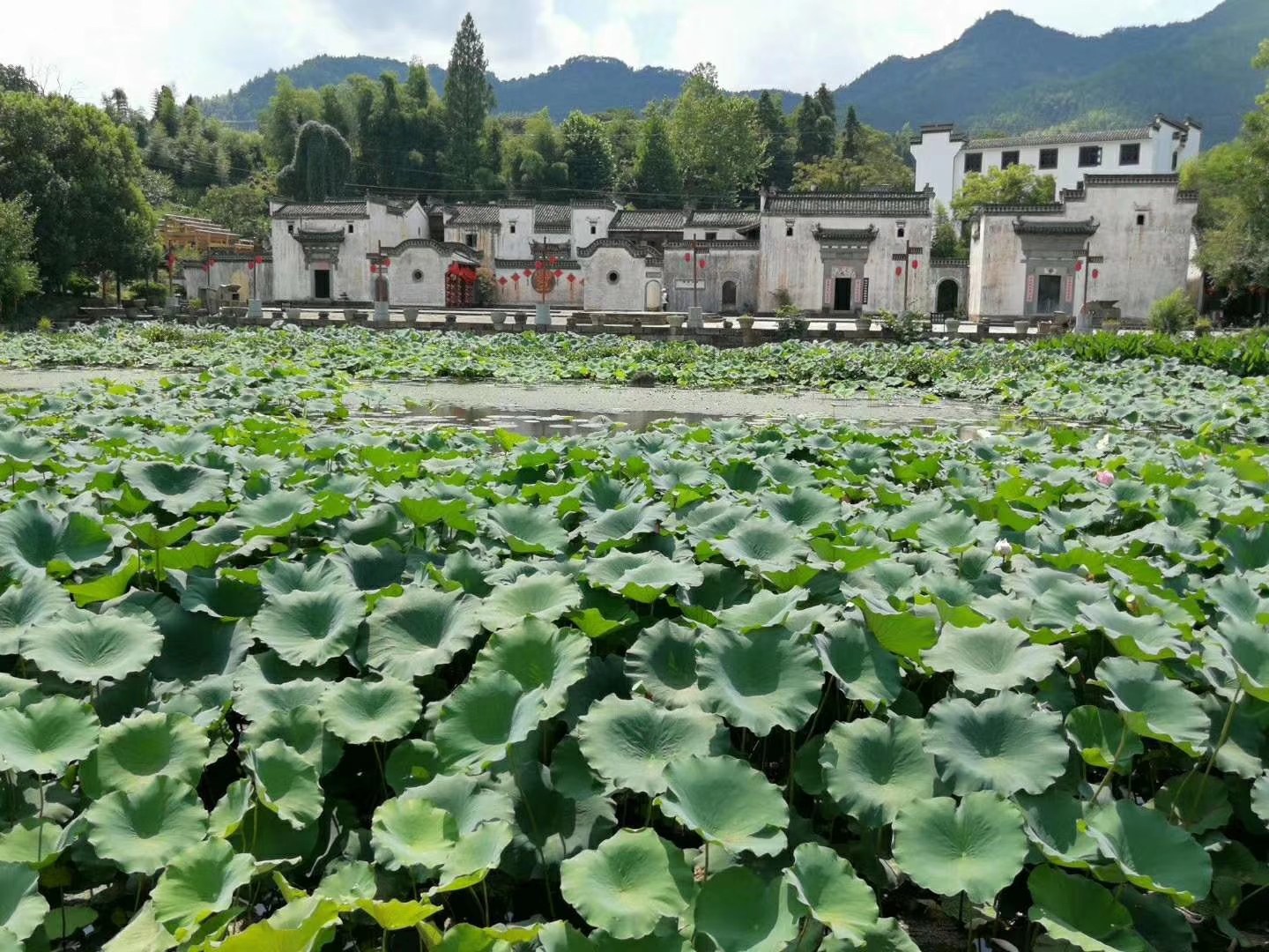 2025澳门2025免费原料