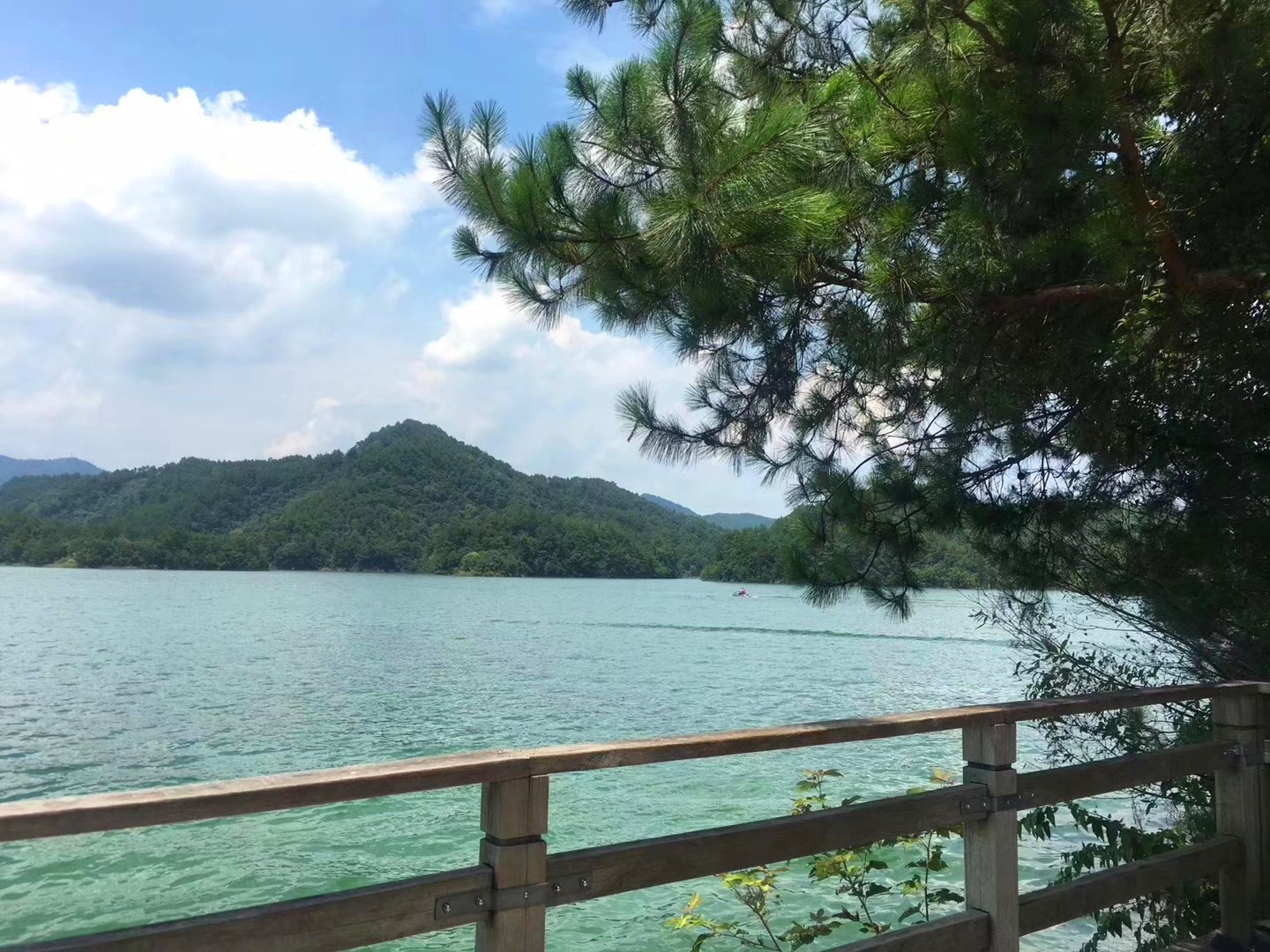 2025澳门2025免费原料