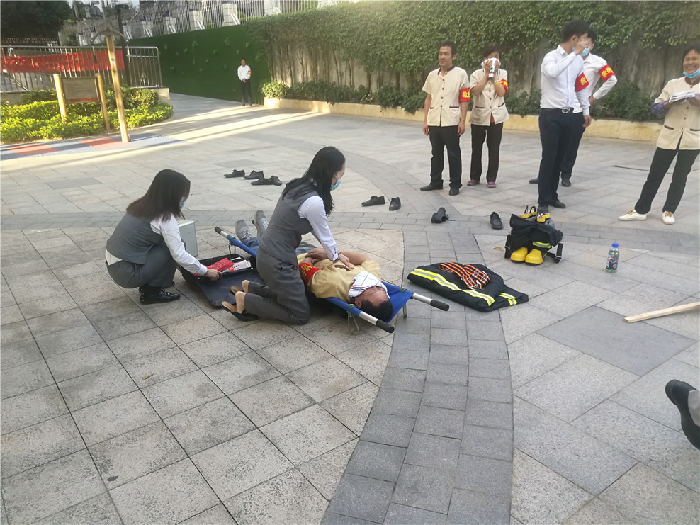 2025澳门2025免费原料