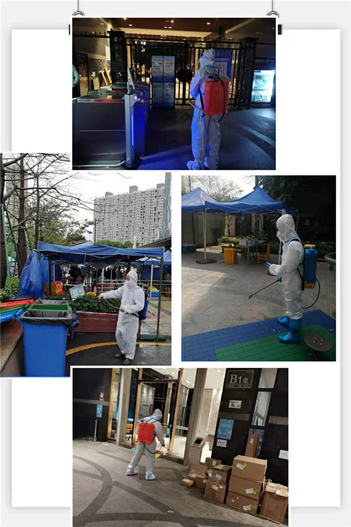 2025澳门2025免费原料