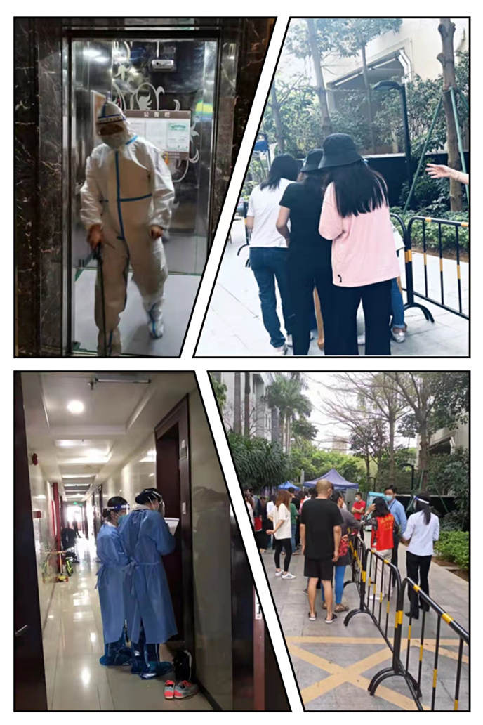 2025澳门2025免费原料