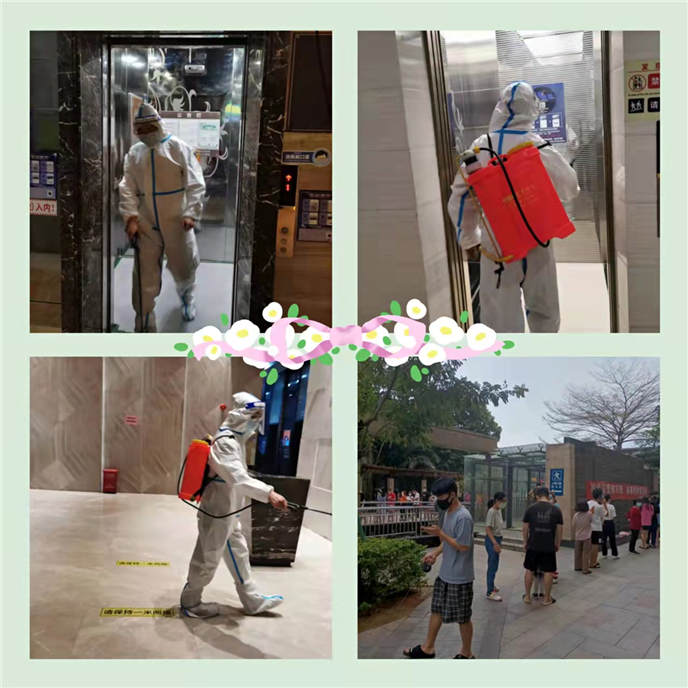 2025澳门2025免费原料