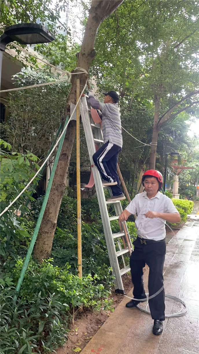 2025澳门2025免费原料