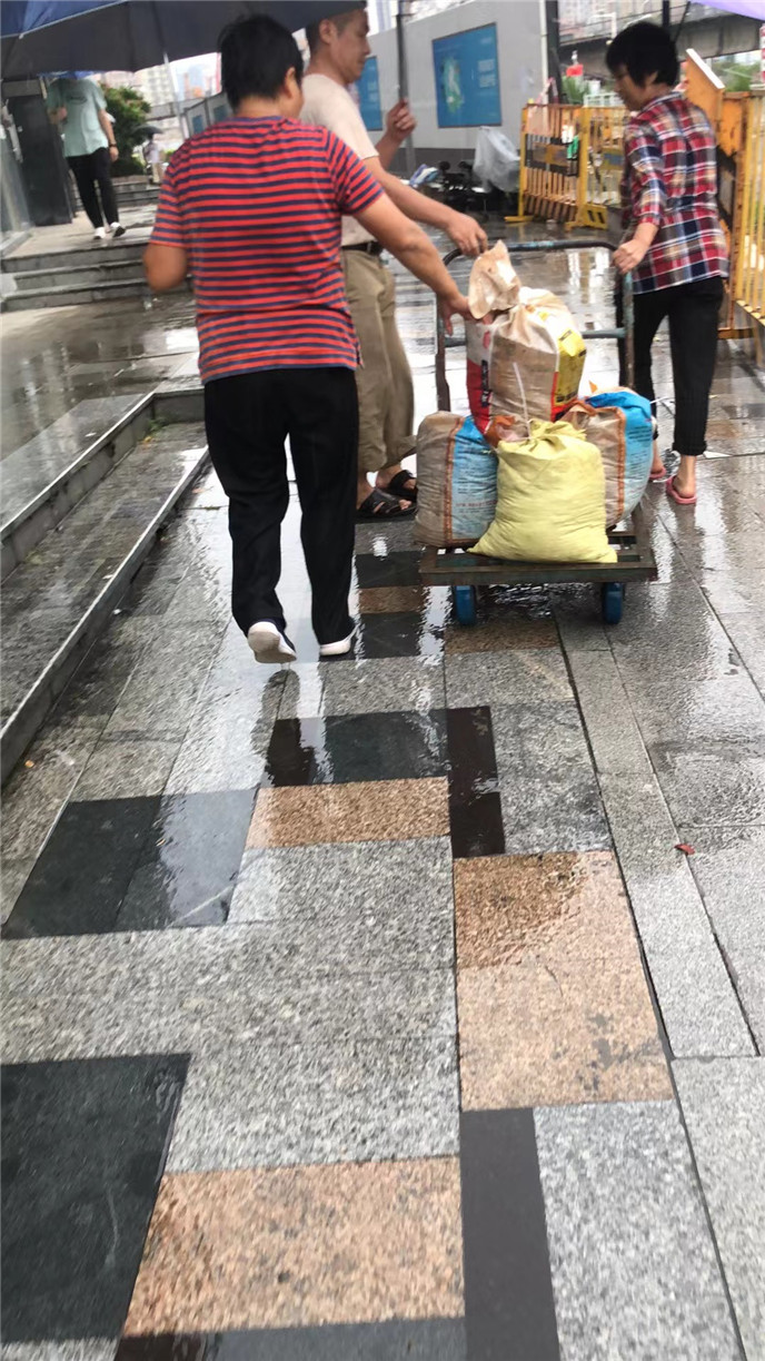 2025澳门2025免费原料