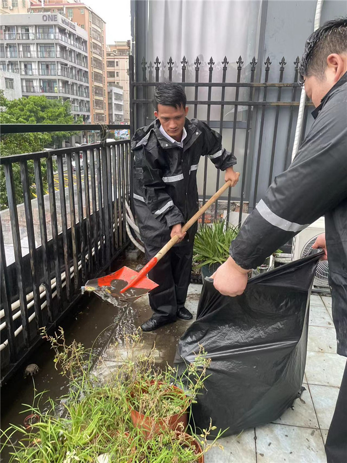 2025澳门2025免费原料