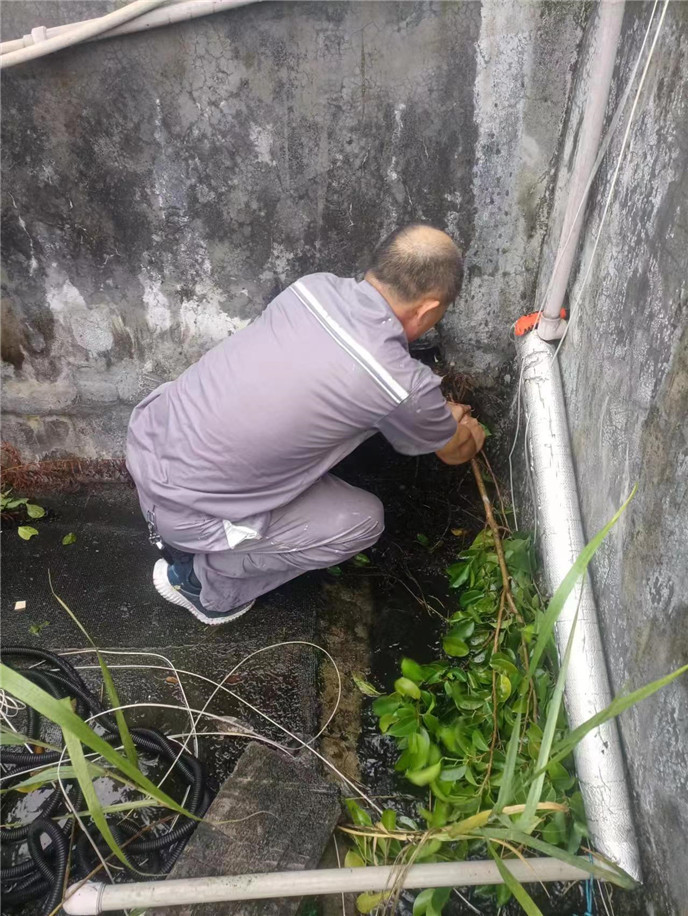 2025澳门2025免费原料