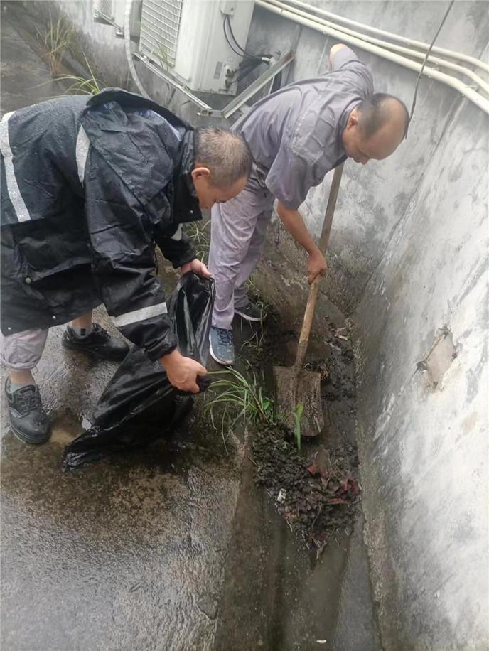 2025澳门2025免费原料