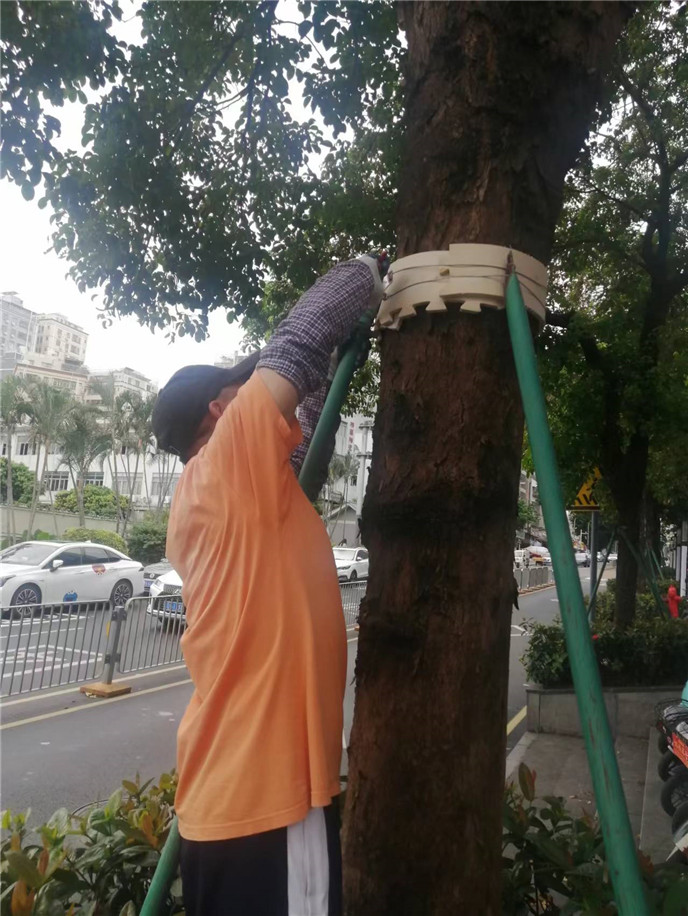 2025澳门2025免费原料