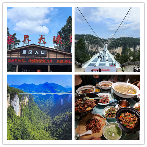 2025澳门2025免费原料