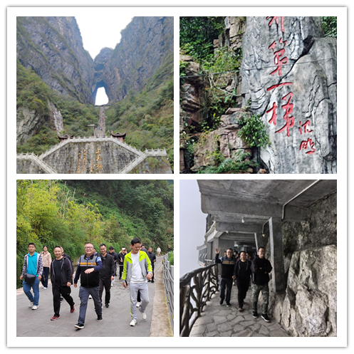 2025澳门2025免费原料