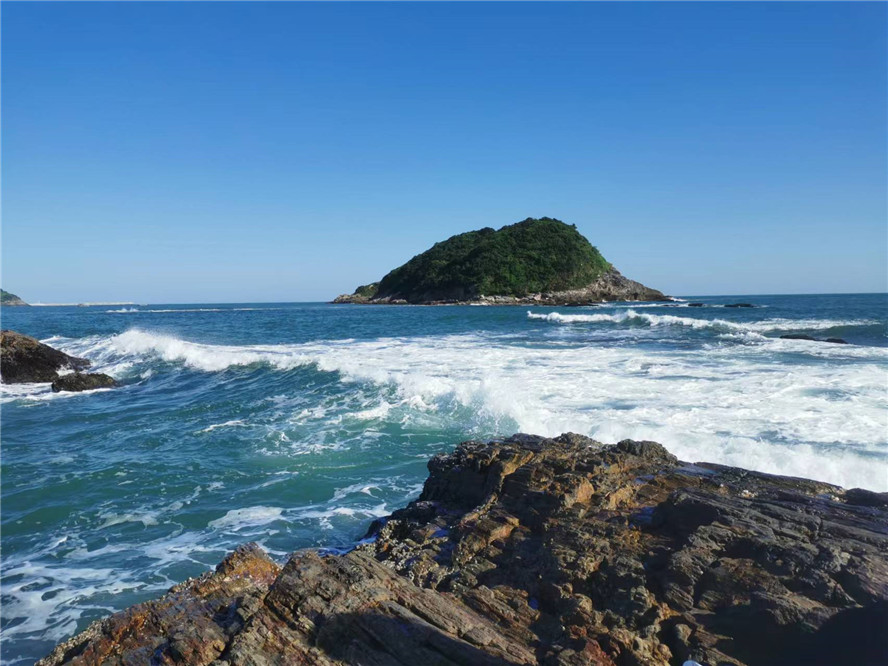 2025澳门2025免费原料