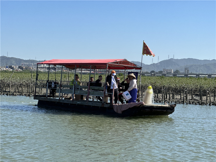 2025澳门2025免费原料