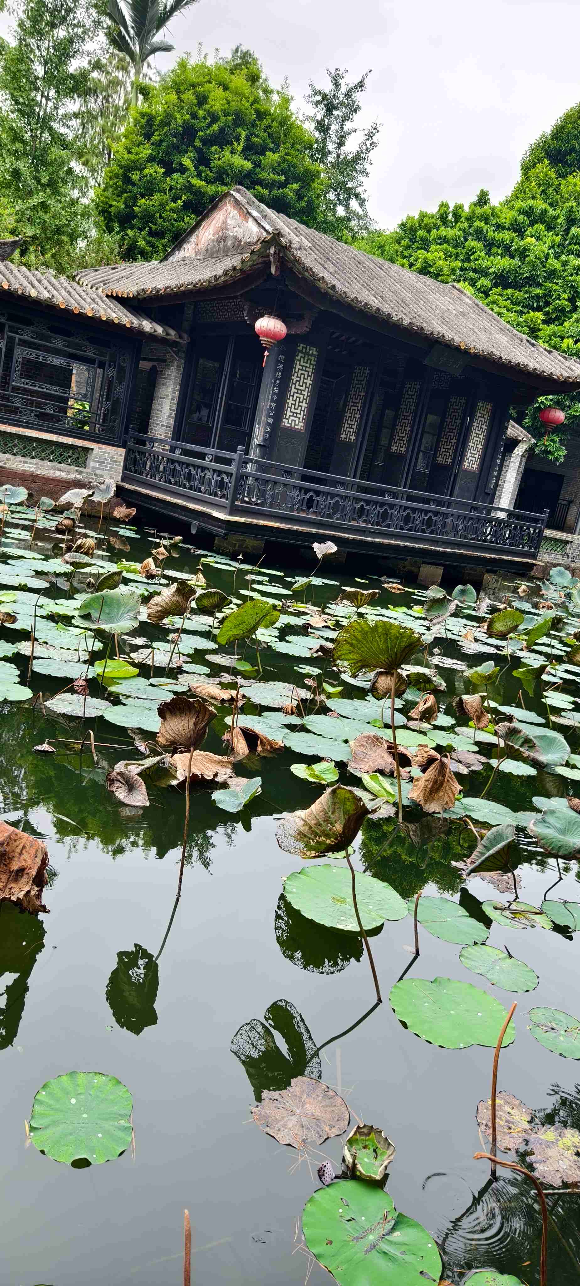 2025澳门2025免费原料