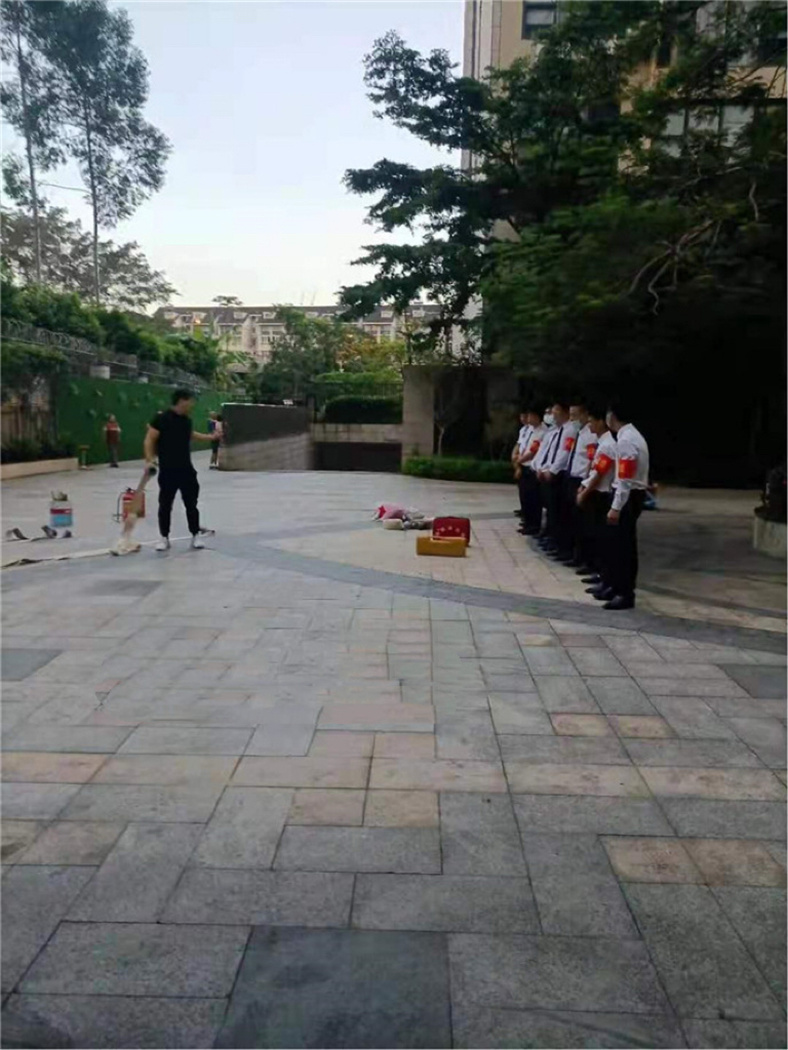 2025澳门2025免费原料